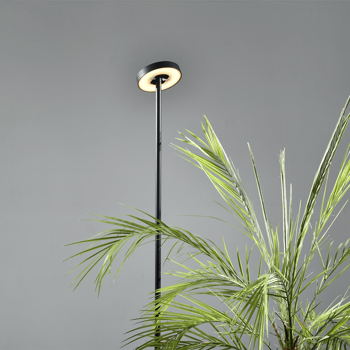 Iluminacion jardin Invisible - Imagen 3